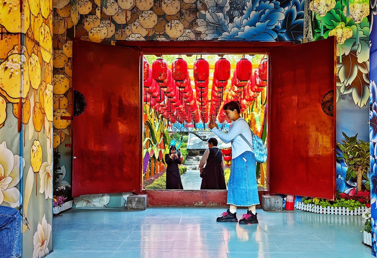 开封（矛盾城）菊展（手机版）