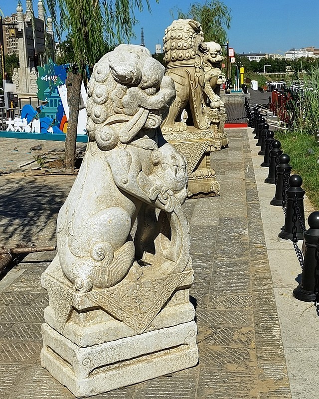 《不老松：纪实摄影》大美沧州系列報道：〔15〕百狮园！百狮园的石狮雄姿各异，历久沧