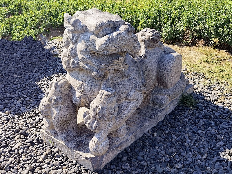 《不老松：纪实摄影》大美沧州系列報道：〔15〕百狮园！百狮园的石狮雄姿各异，历久沧