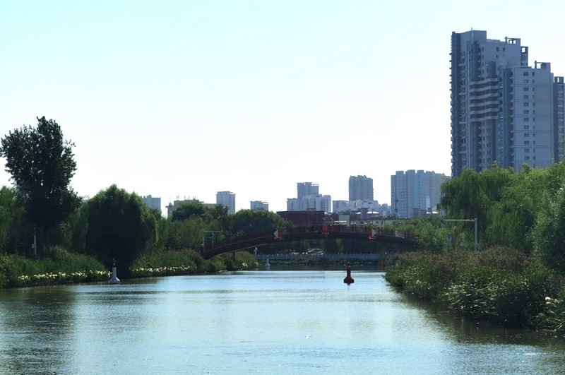 《不老松：纪实摄影》大美沧州系列報道：〔16〕百狮园！百狮园景介绍完毕！后面更精彩