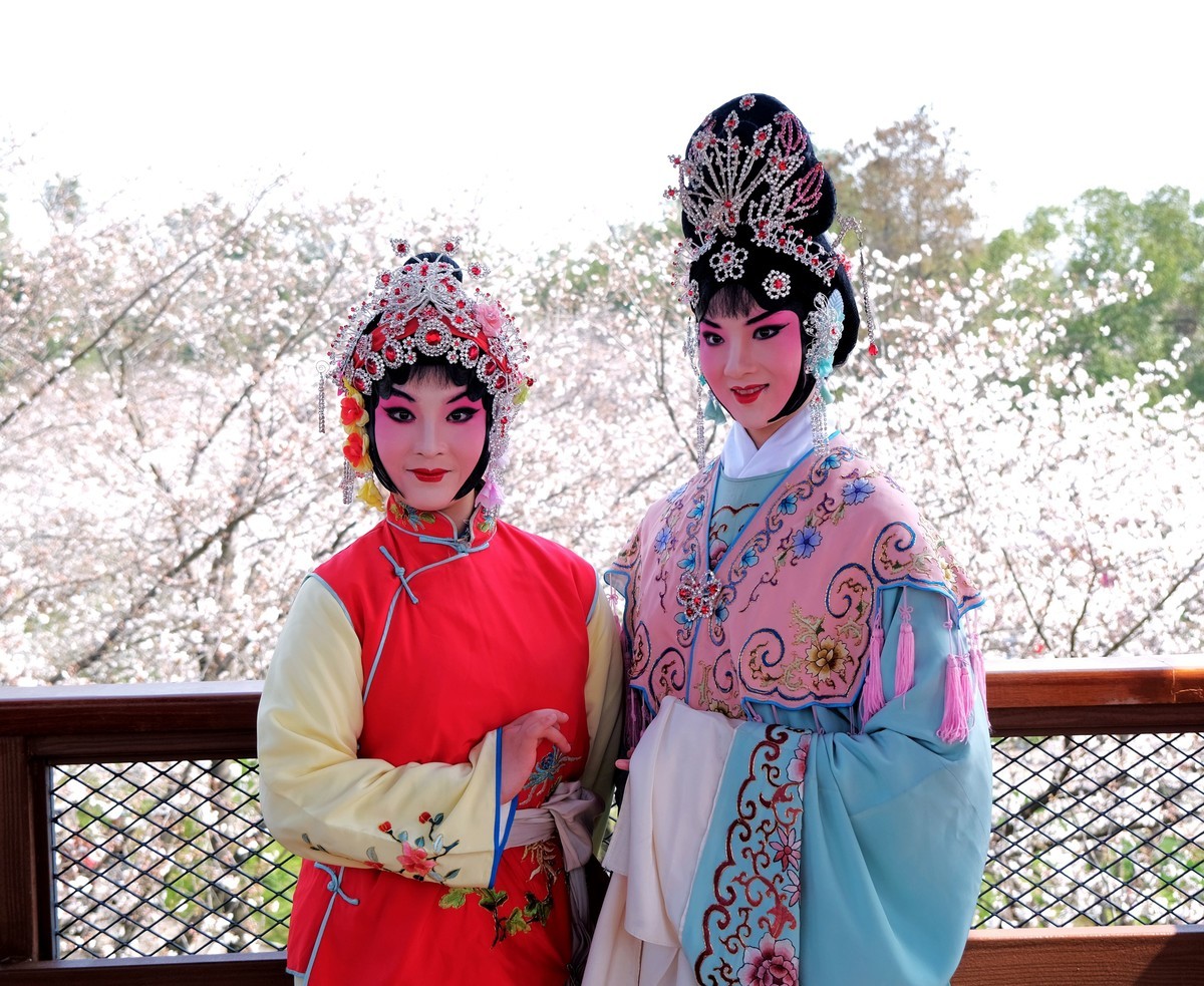 随拍樱花园的戏剧演员美女