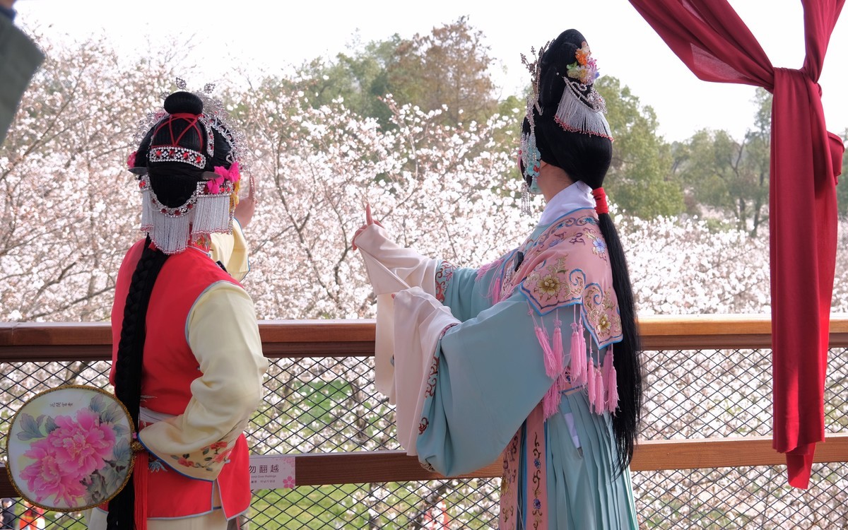 随拍樱花园的戏剧演员美女