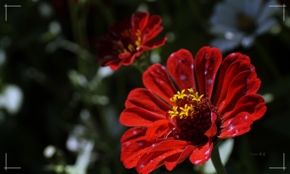 秋色斑斓 脚下留情！