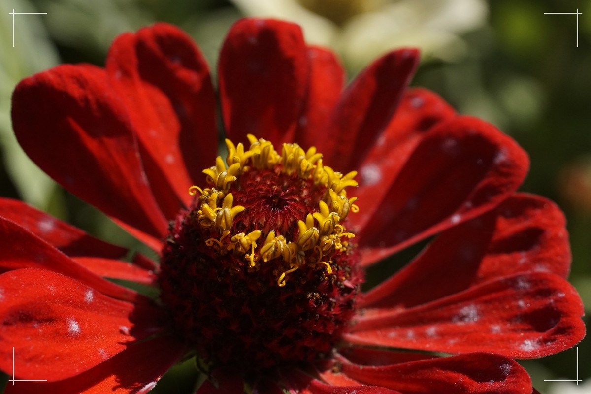 秋色斑斓 脚下留情！