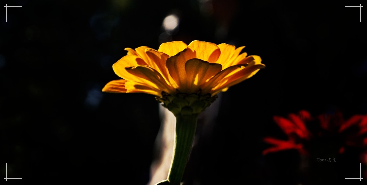 秋色斑斓 脚下留情！