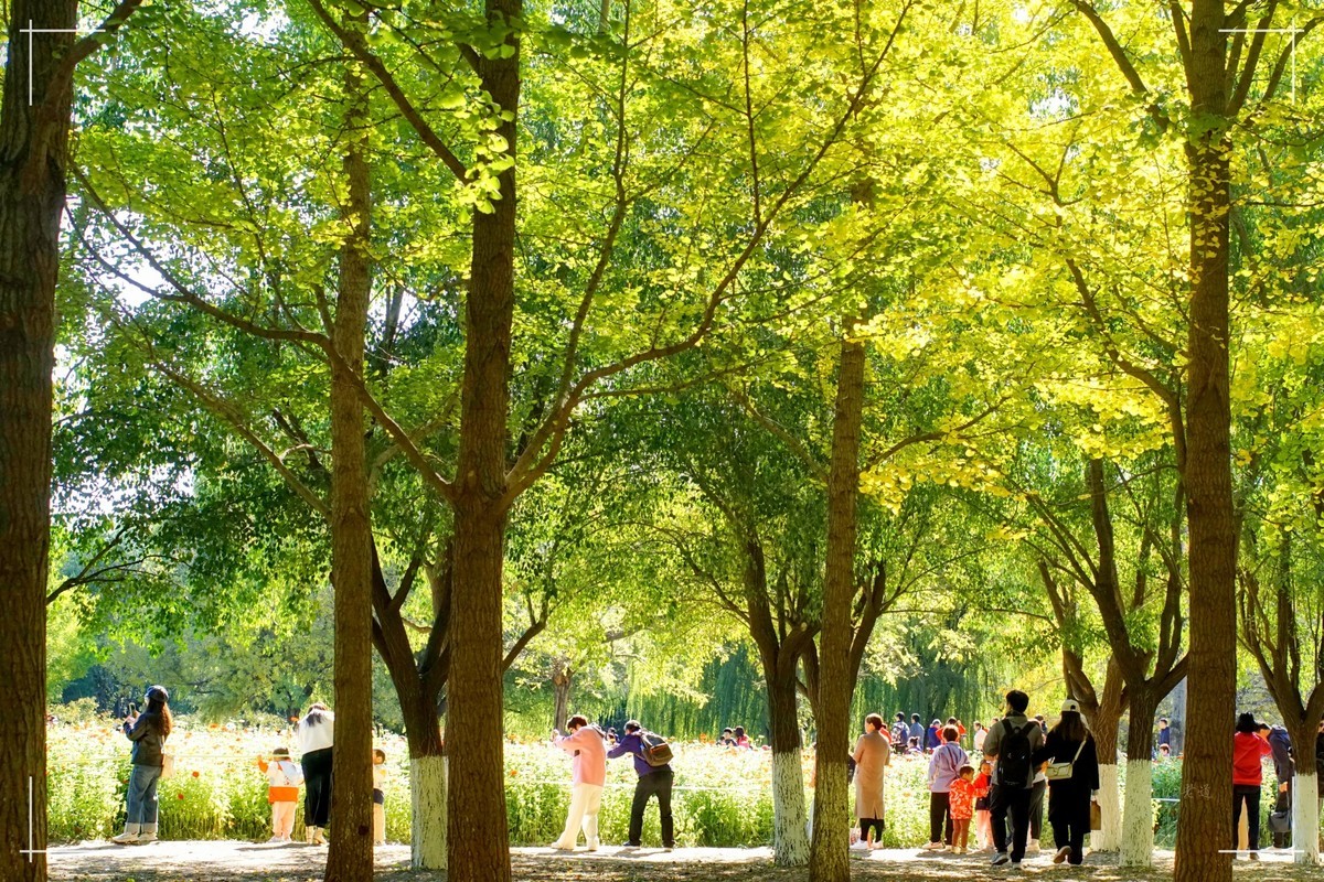 秋色斑斓 脚下留情！