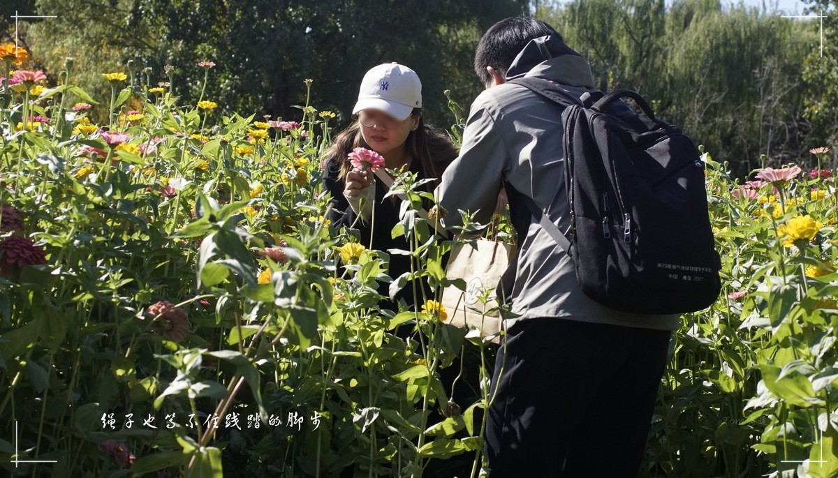 秋色斑斓 脚下留情！