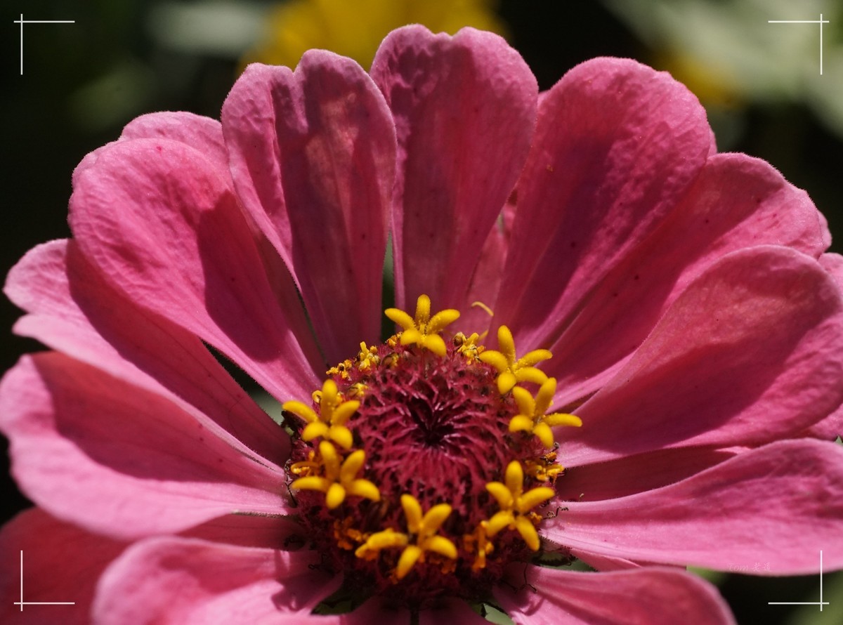 秋色斑斓 脚下留情！