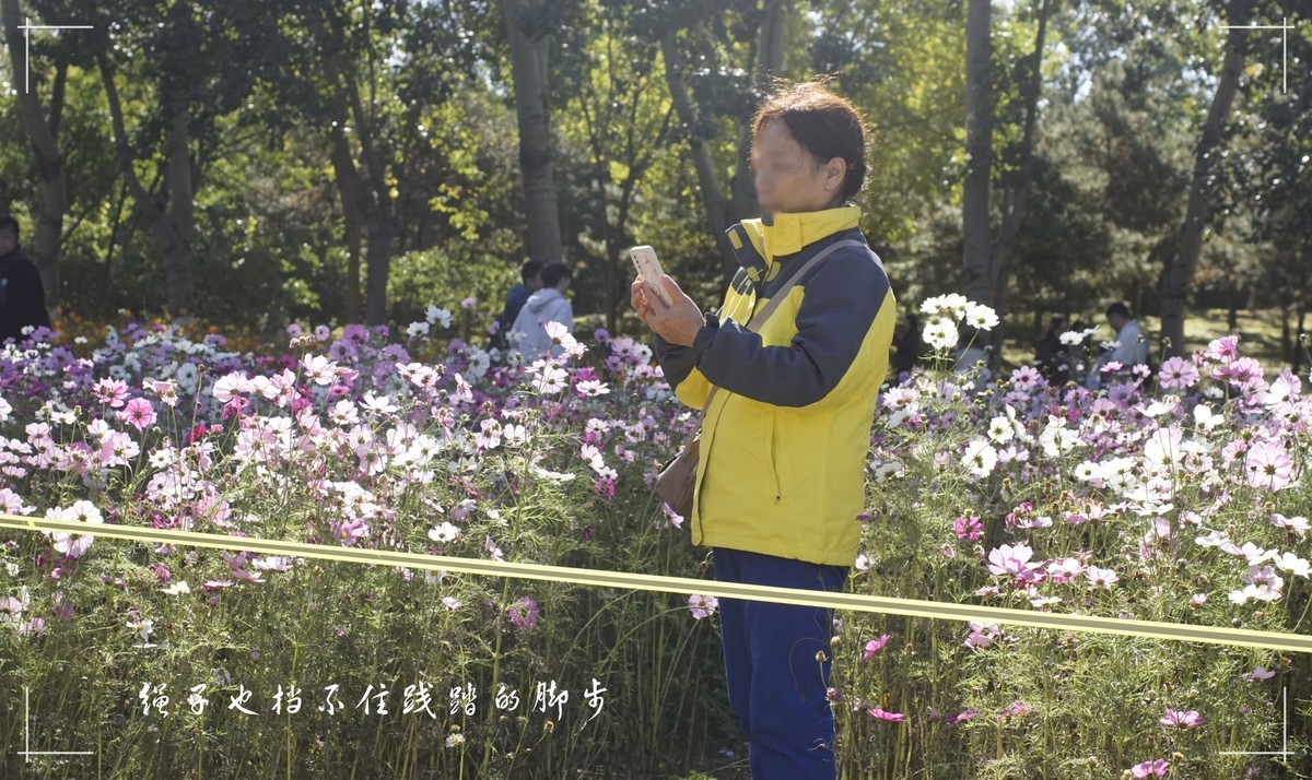 秋色斑斓 脚下留情！