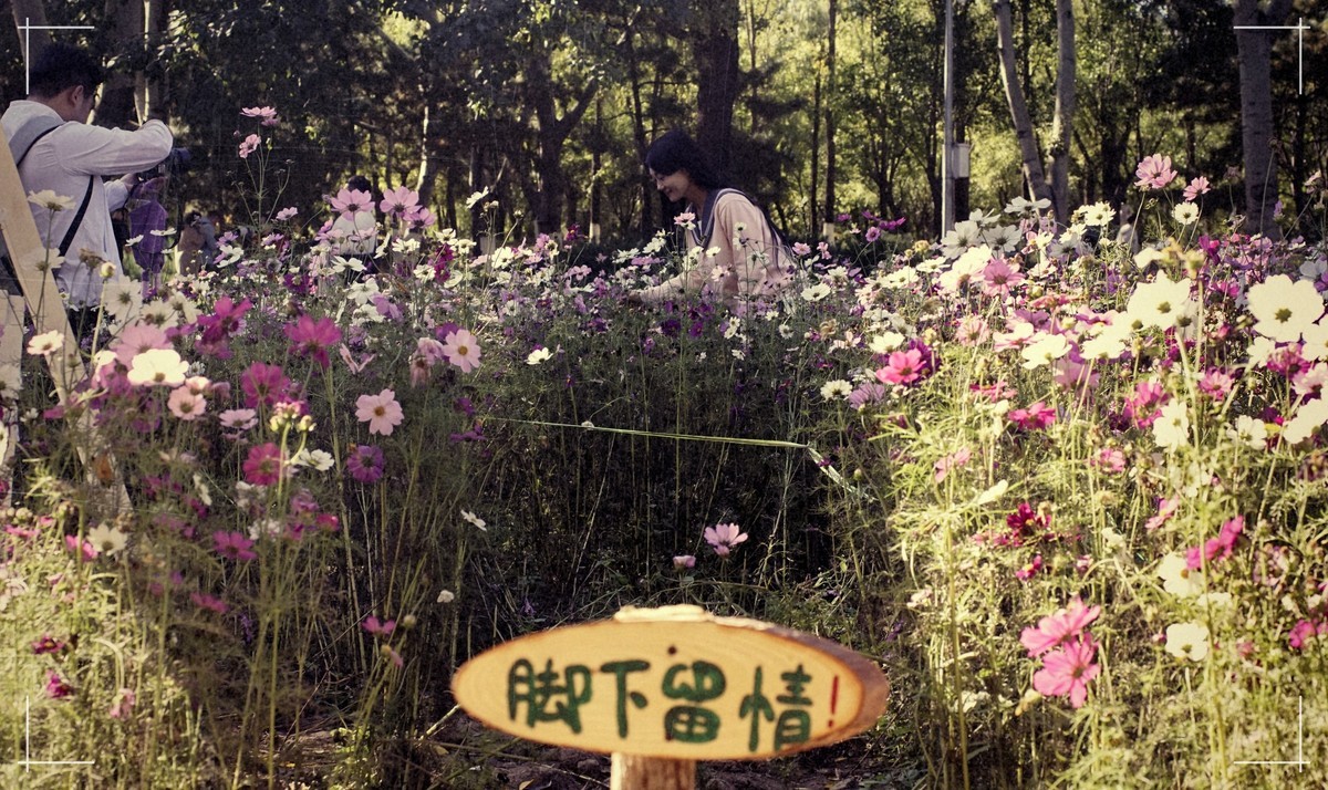 秋色斑斓 脚下留情！