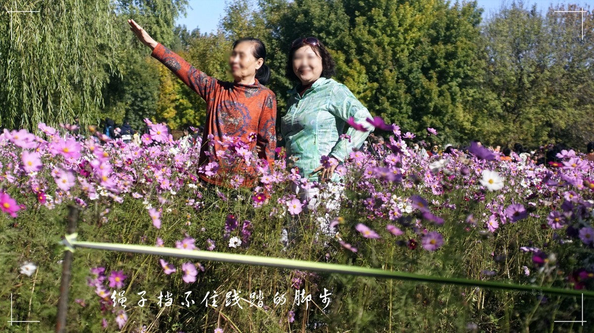 秋色斑斓 脚下留情！