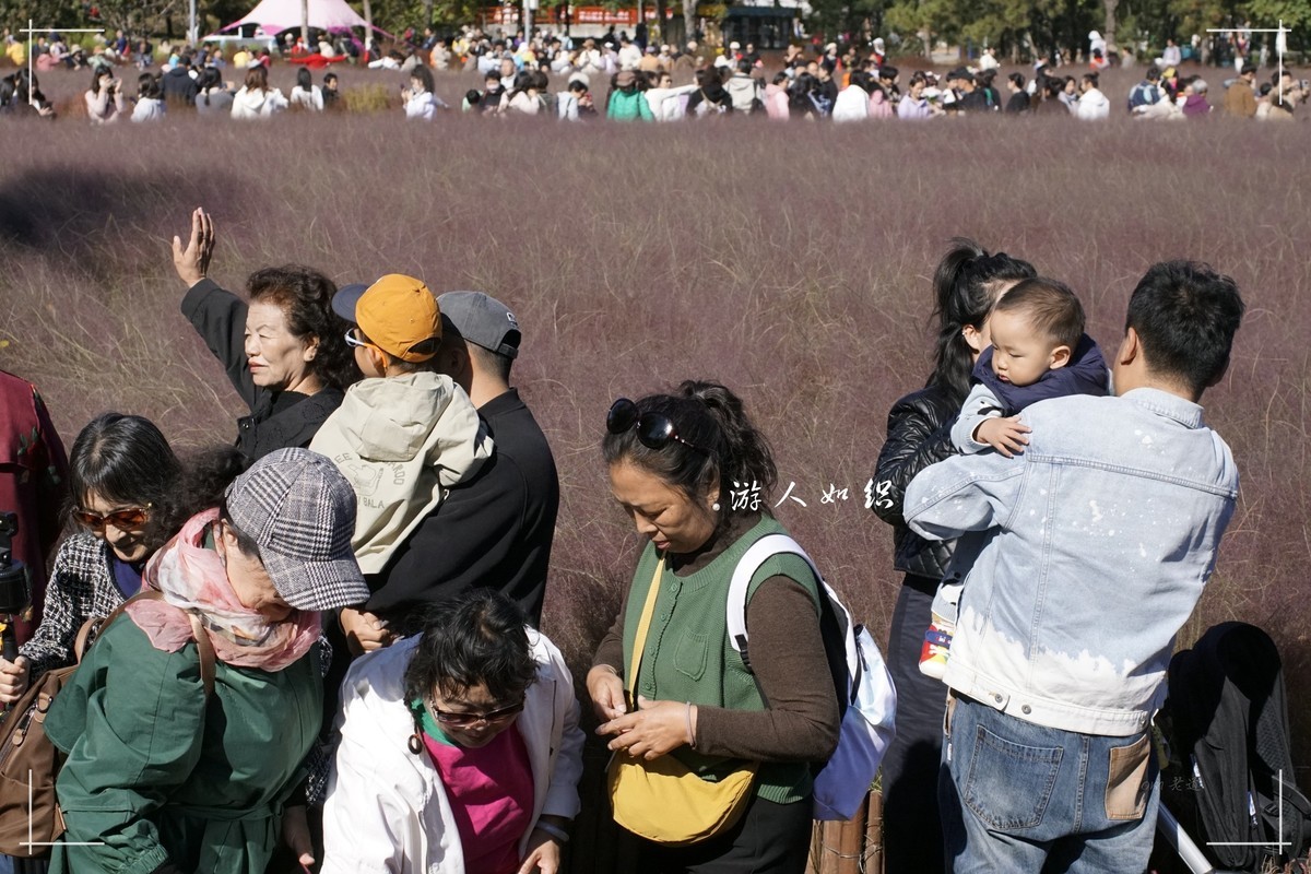 秋色斑斓 脚下留情！