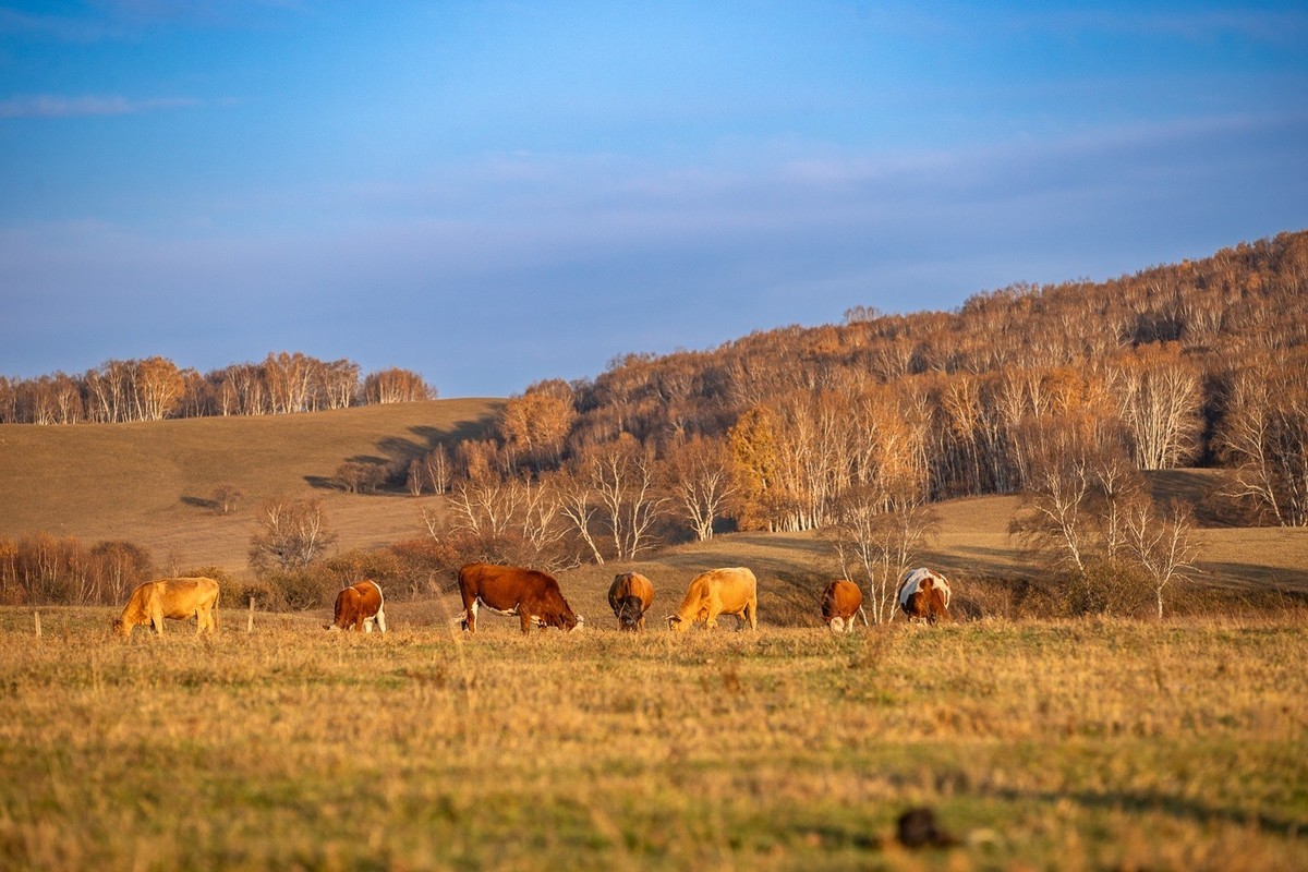 树树秋声，山山寒色。