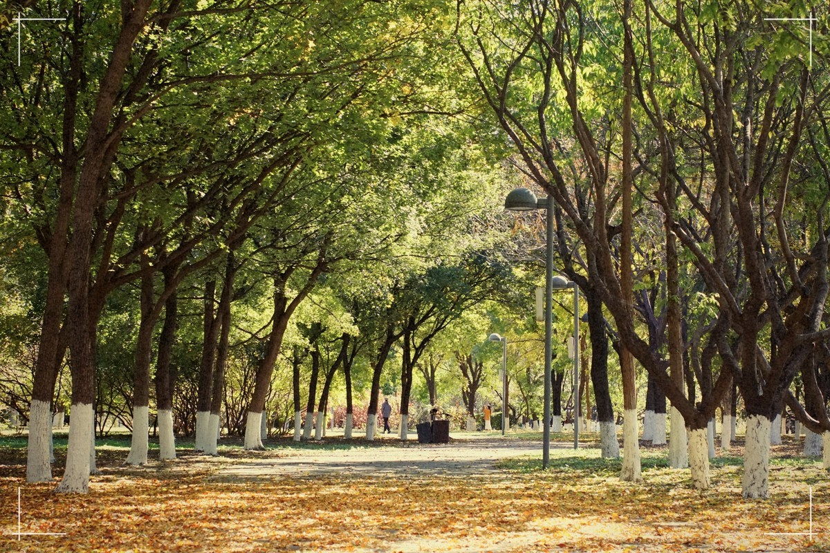 秋色斑斓 脚下留情！