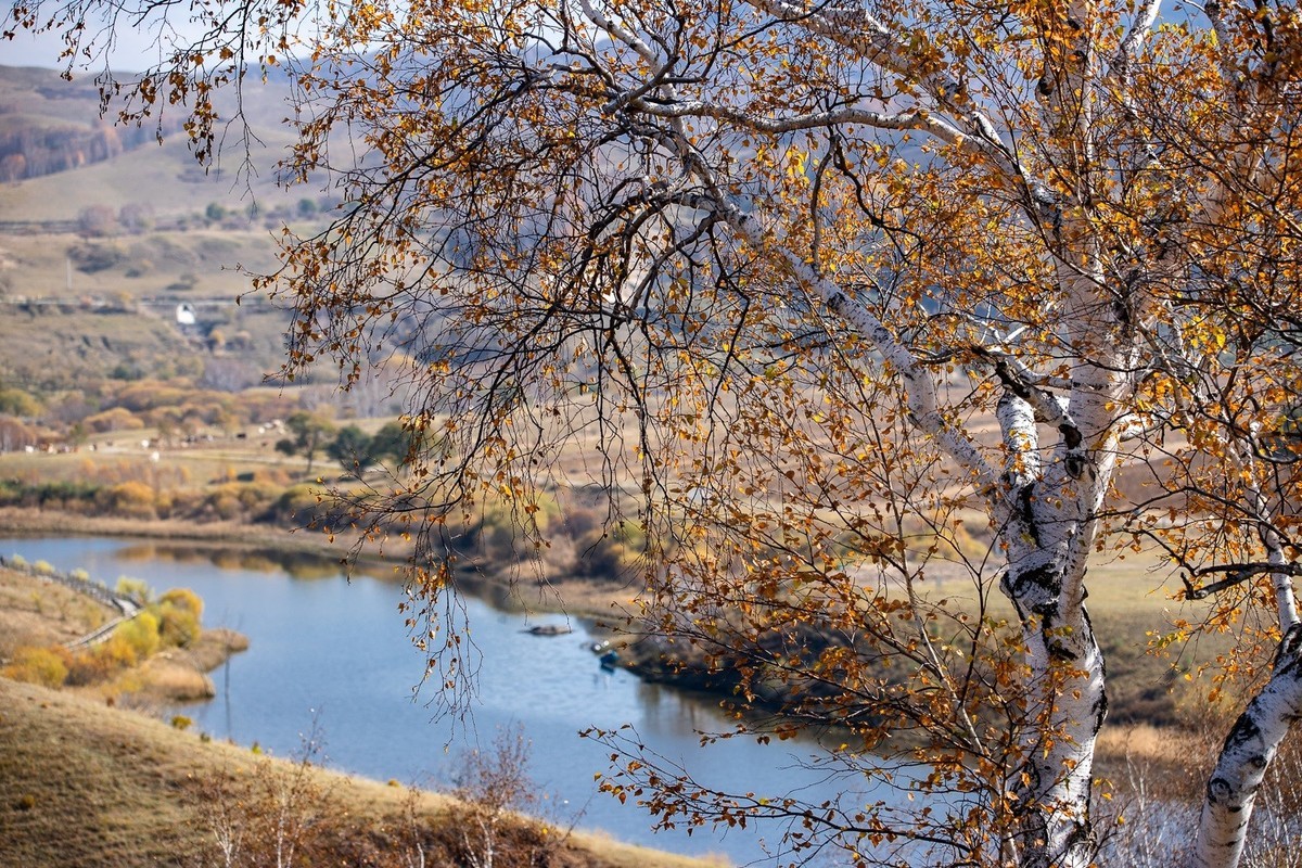 树树秋声，山山寒色。