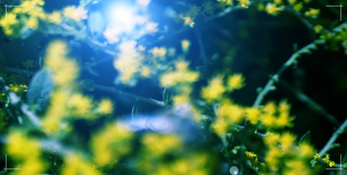 秋色斑斓 脚下留情！