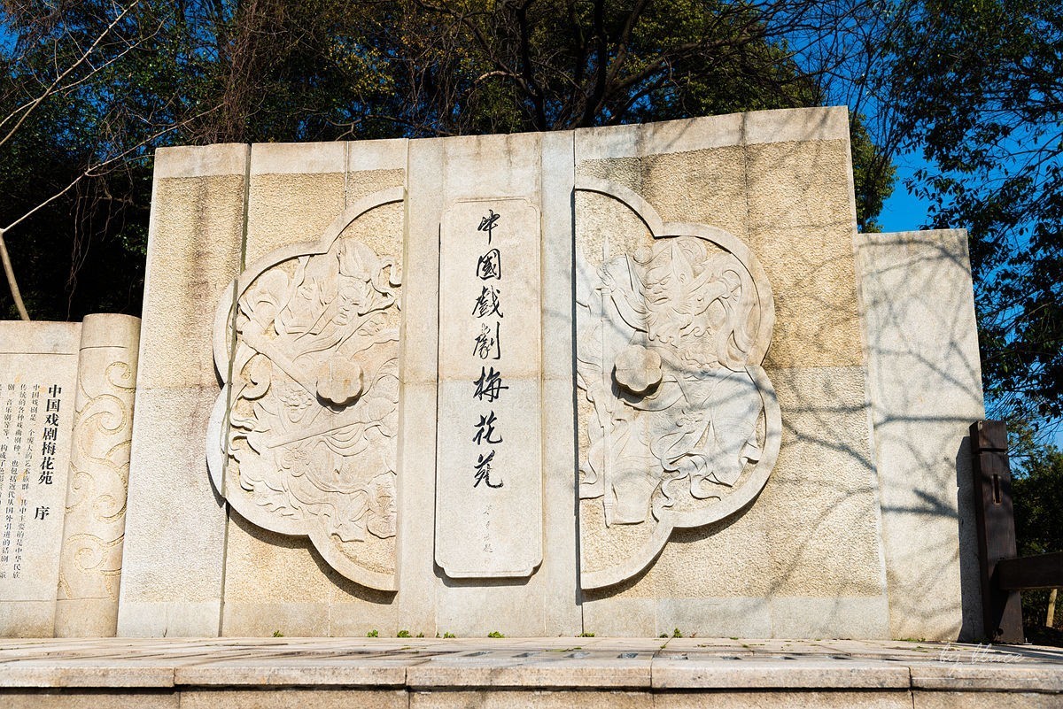 观梅胜地——杭州超山（2）