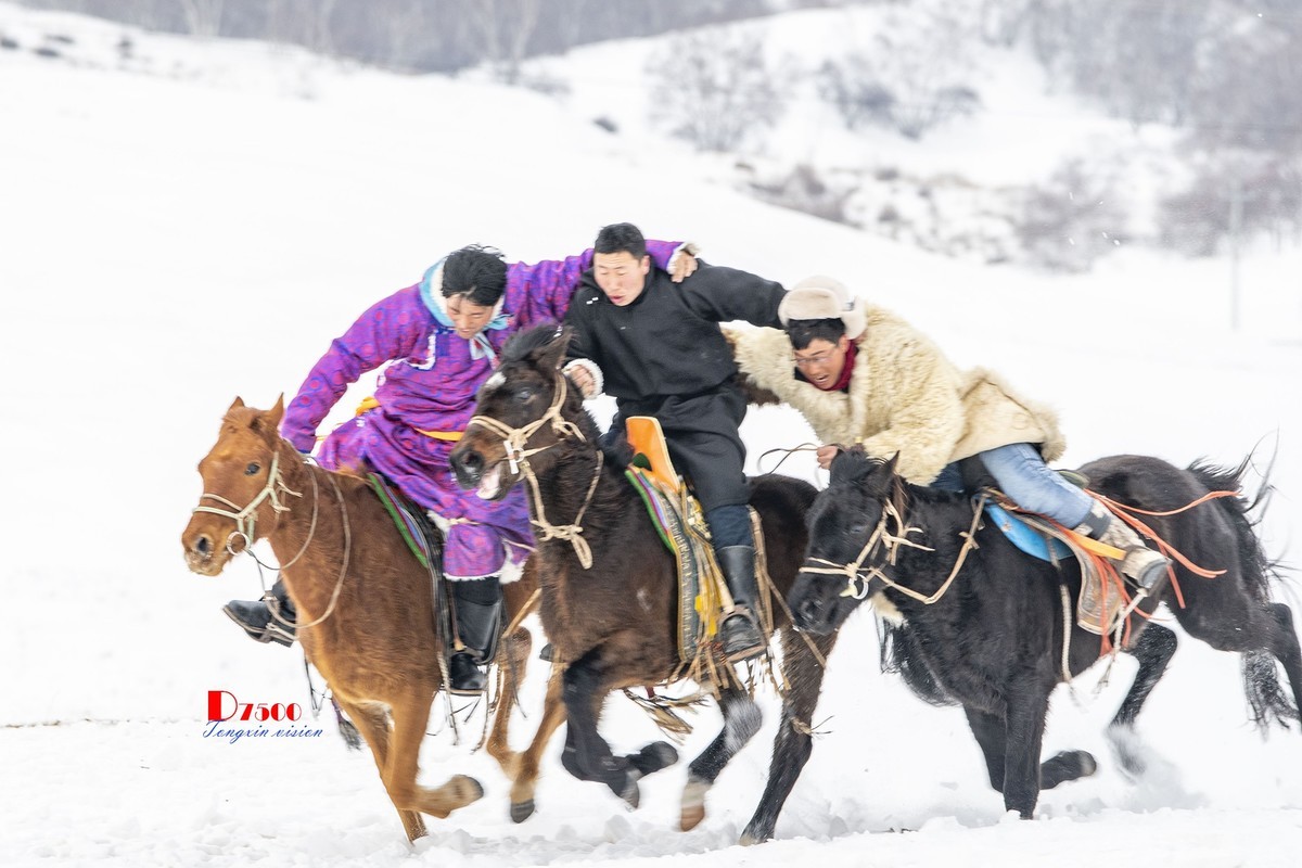 快乐的牧马人（42）