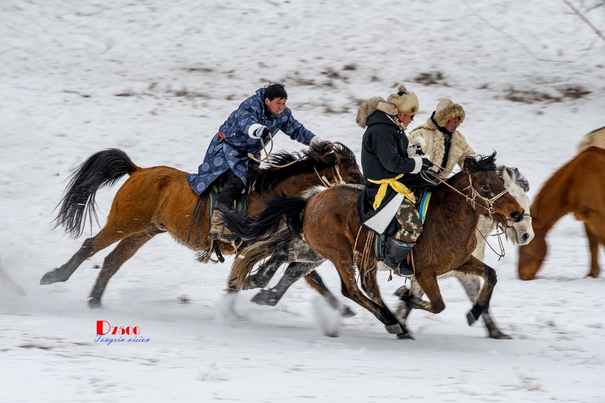 快乐的牧马人（42）