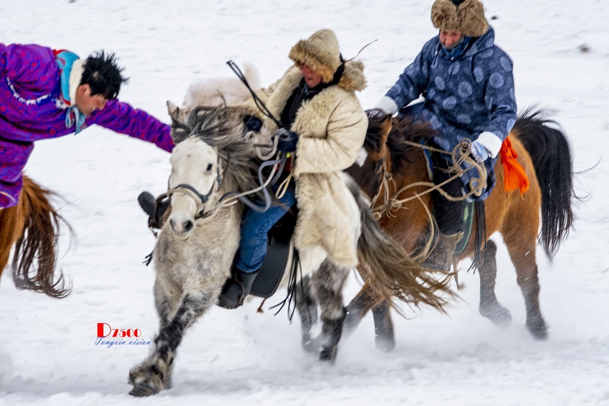 快乐的牧马人（42）