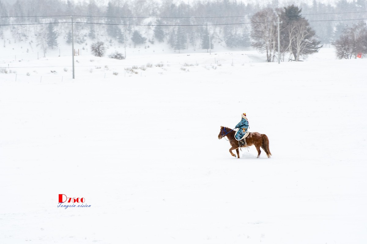 快乐的牧马人（42）