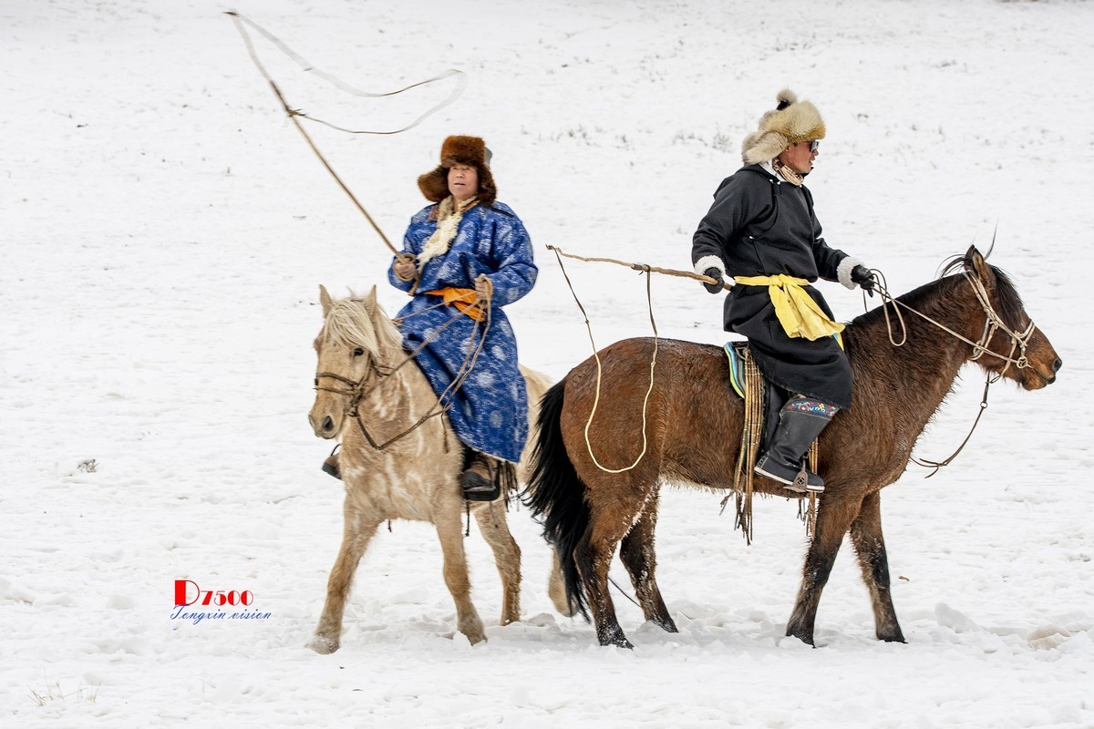 快乐的牧马人（42）