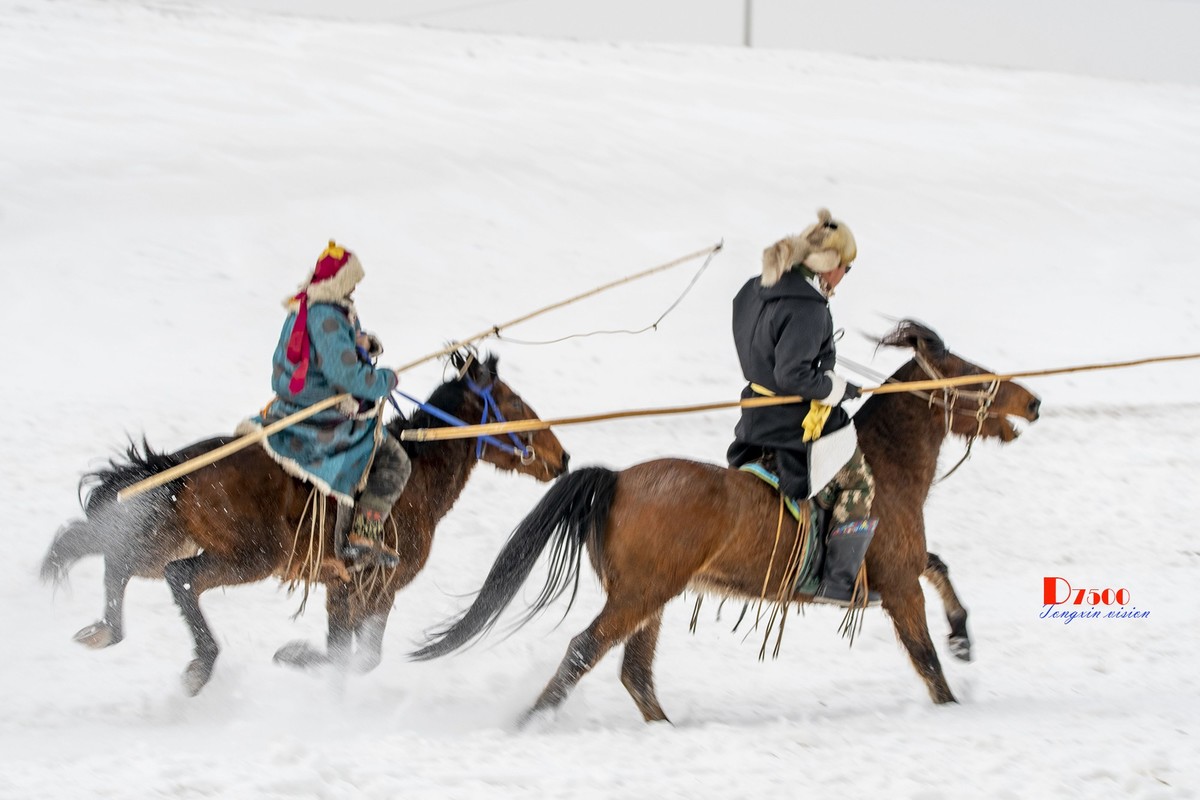 快乐的牧马人（42）