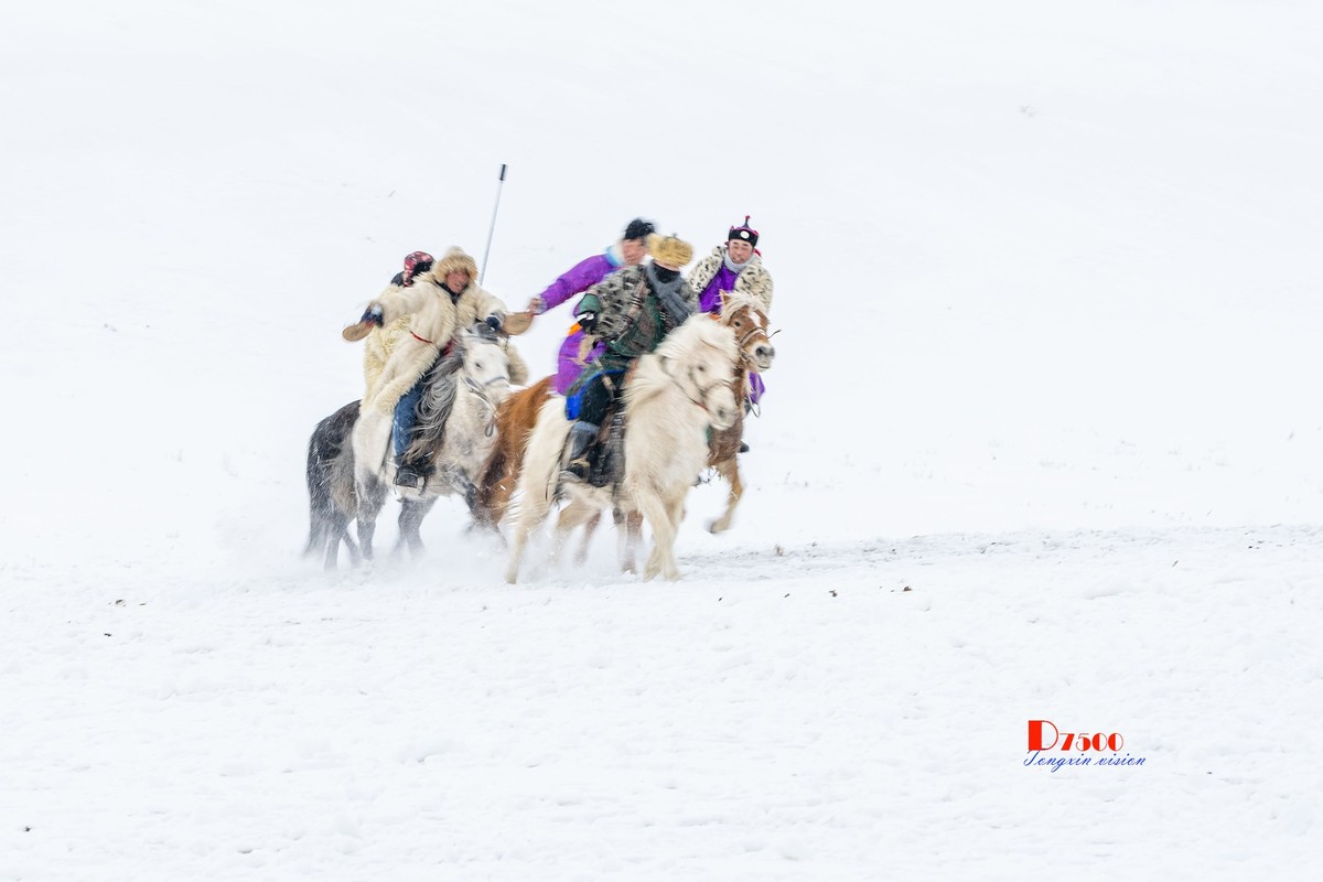 快乐的牧马人（42）