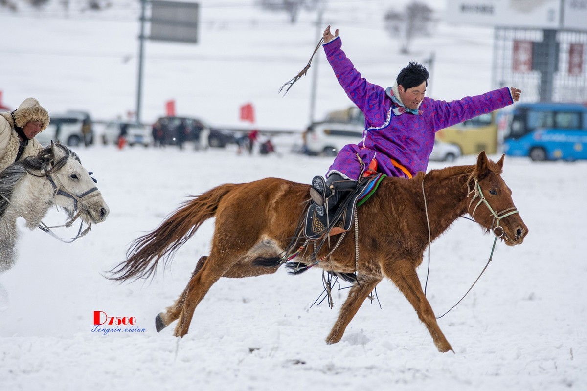 快乐的牧马人（42）
