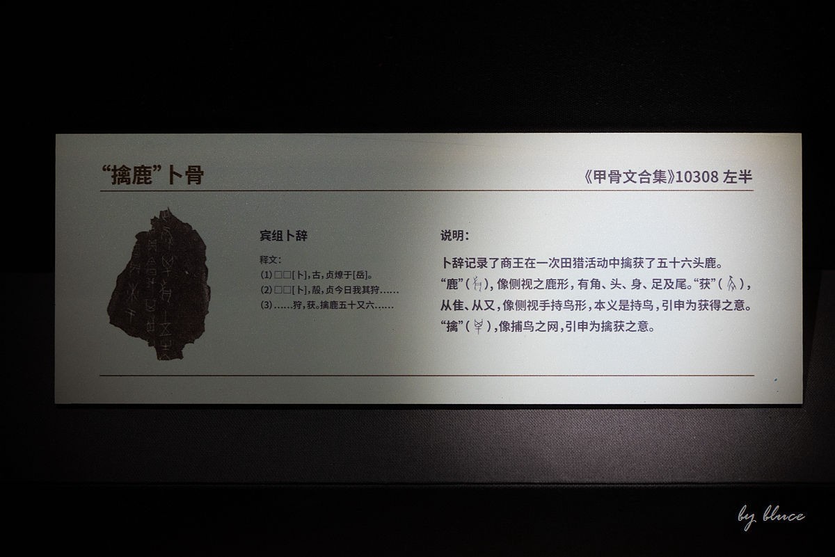 参观山东博物馆（7）----完