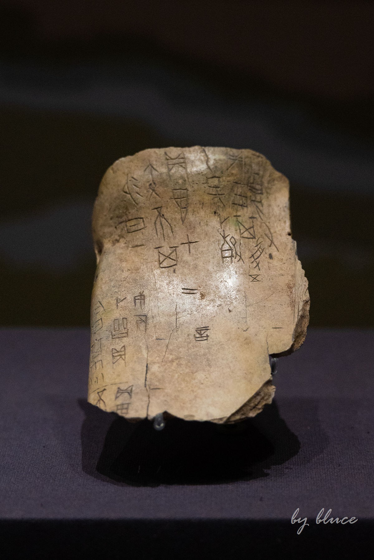 参观山东博物馆（7）----完