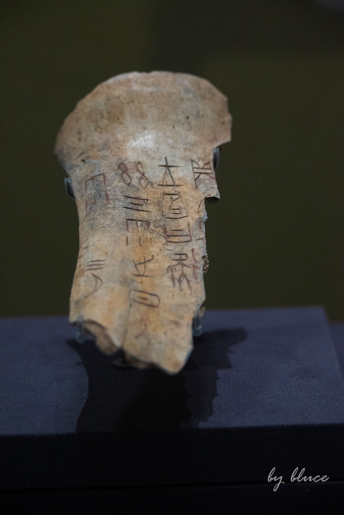 参观山东博物馆（7）----完