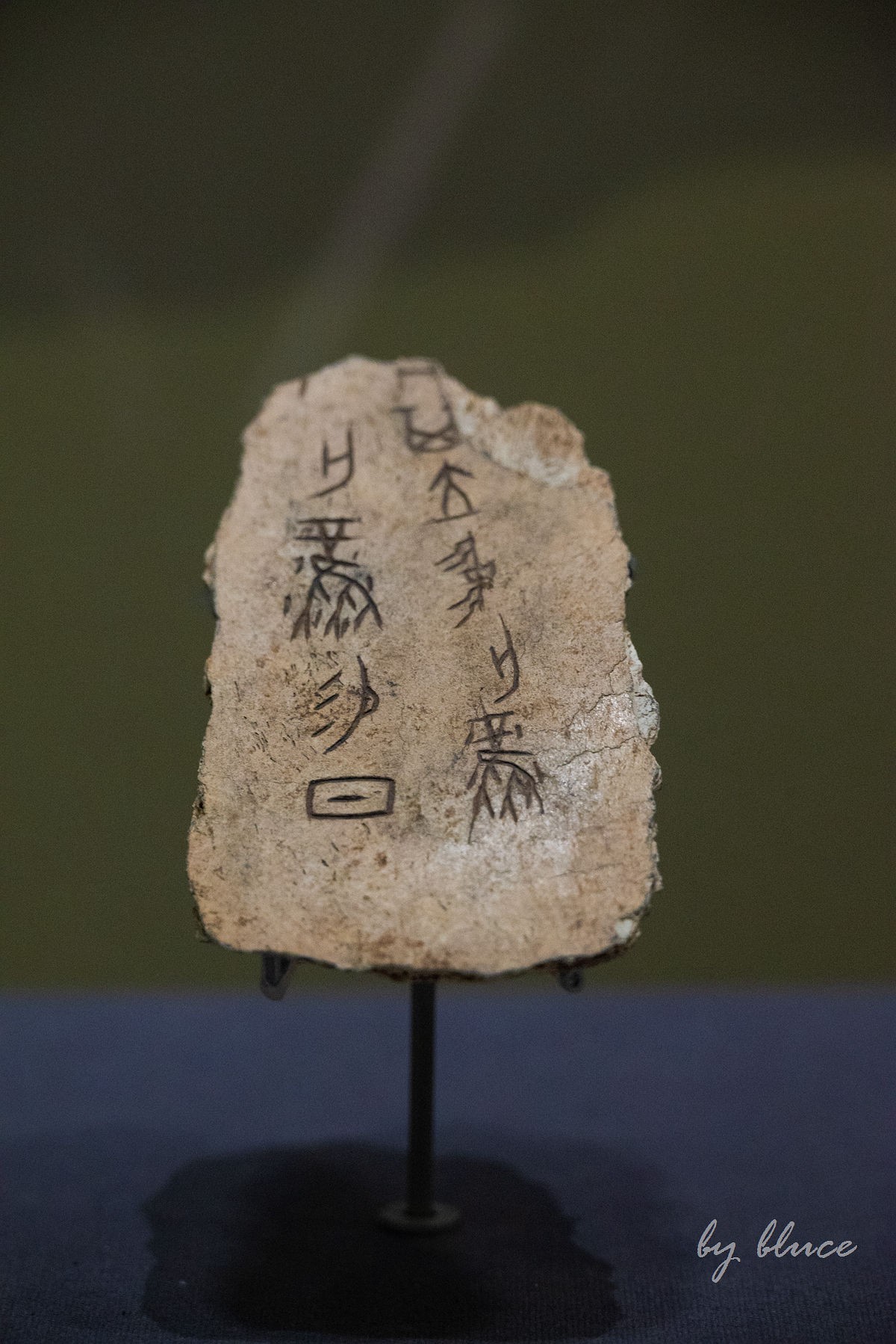 参观山东博物馆（7）----完