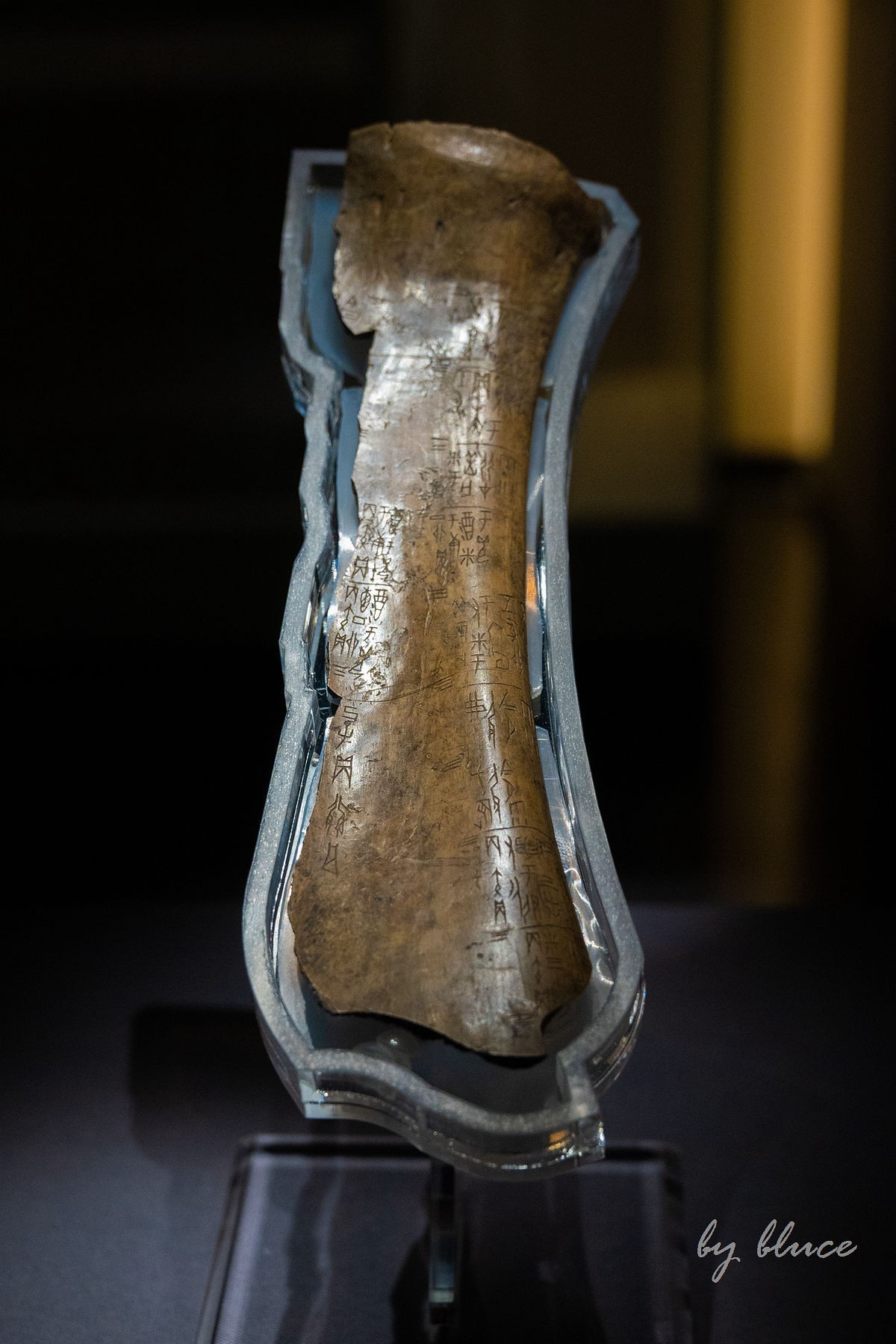 参观山东博物馆（7）----完