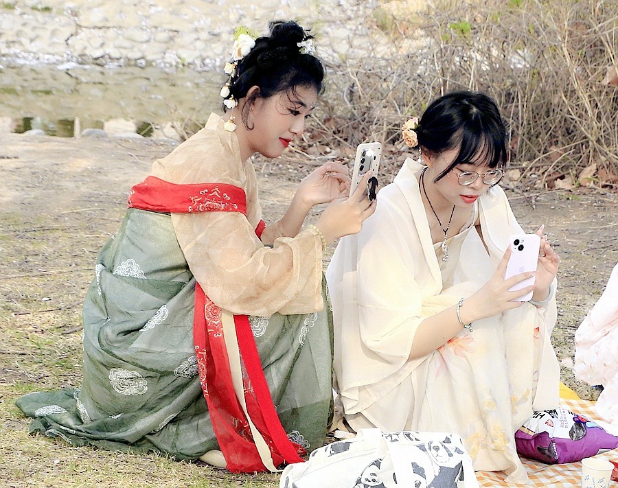 《不老松:纪实摄影》名人植物园:(10)青纯少女!