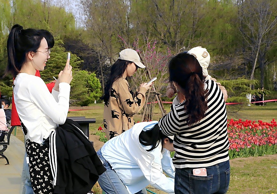 《不老松：纪实摄影》名人植物园：（8）游园、賞花、拍照、留念！