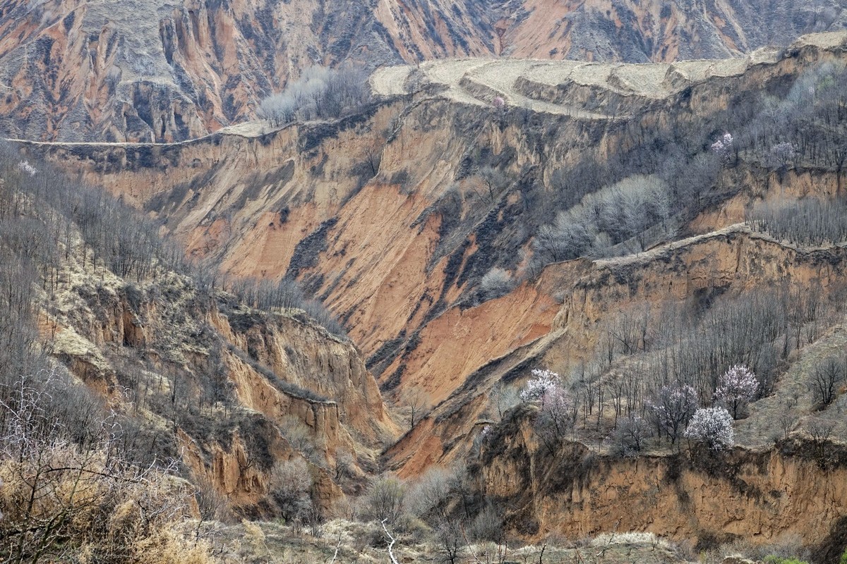 我只是把出去看到的随手记录下来（143）