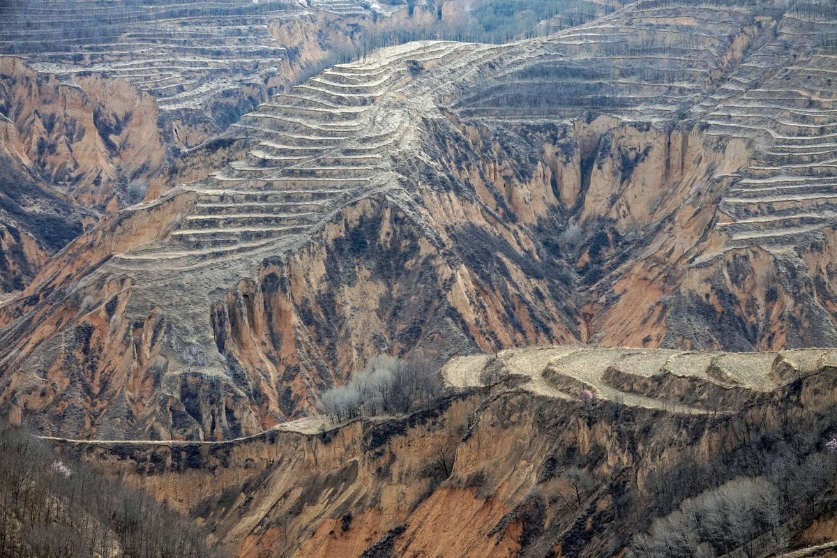 我只是把出去看到的随手记录下来（143）