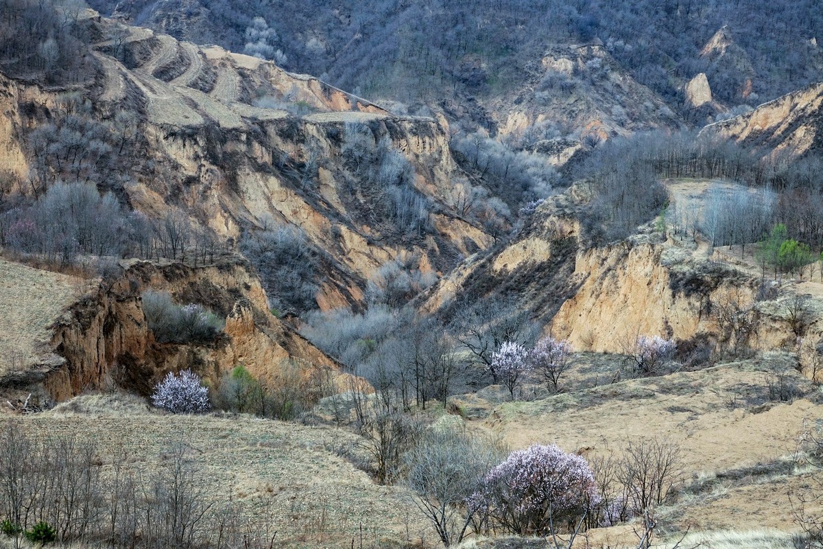 我只是把出去看到的随手记录下来（143）