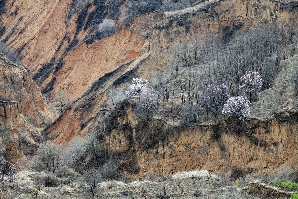 我只是把出去看到的随手记录下来（143）