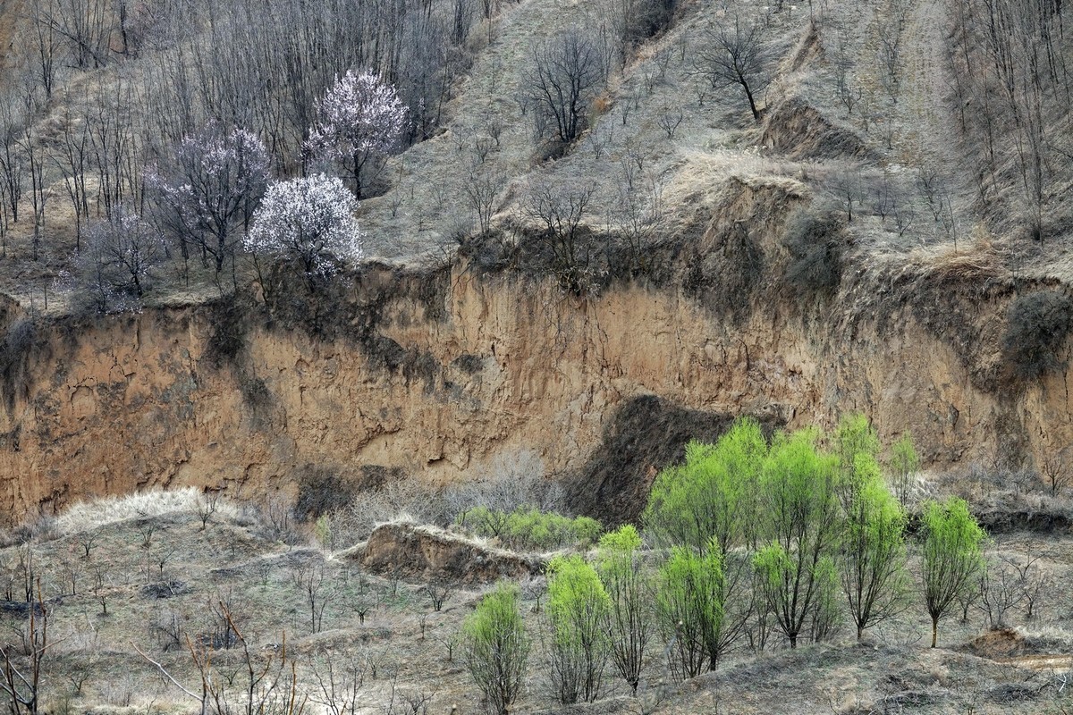 我只是把出去看到的随手记录下来（143）
