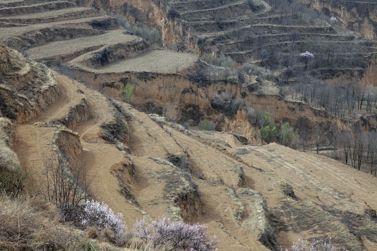 我只是把出去看到的随手记录下来（143）