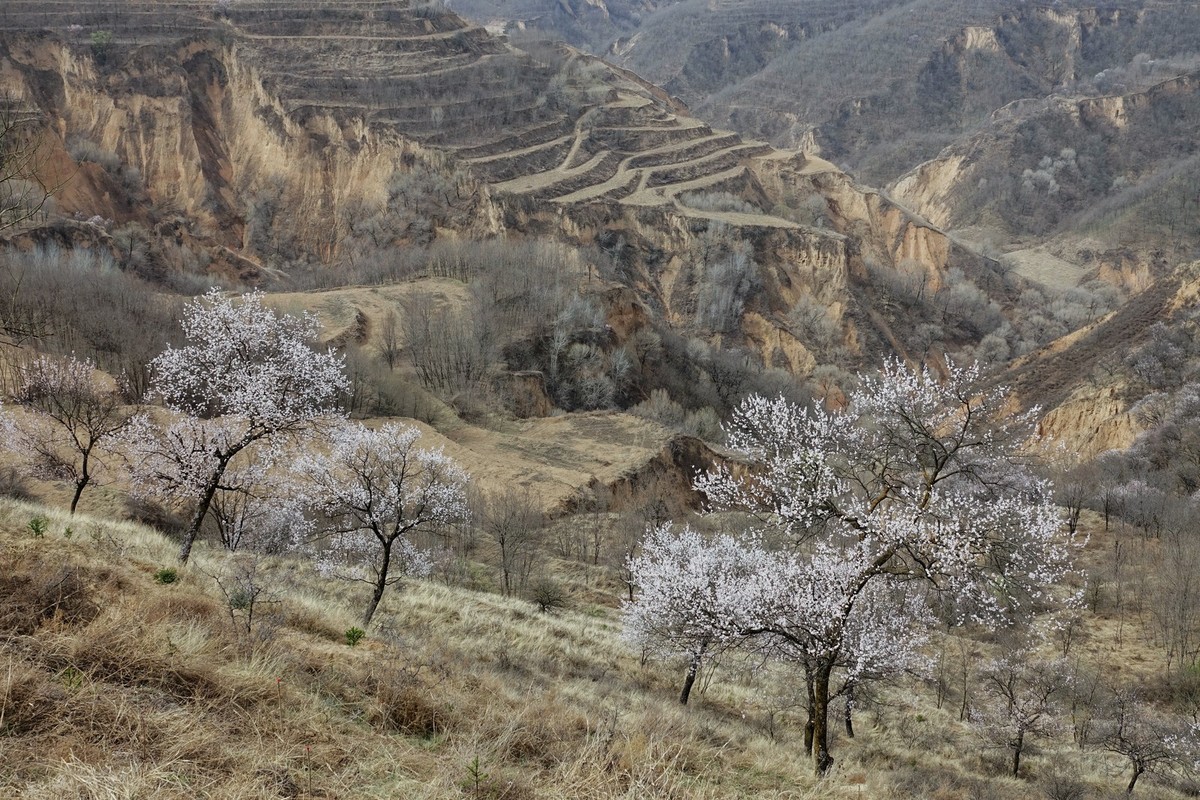我只是把出去看到的随手记录下来（143）
