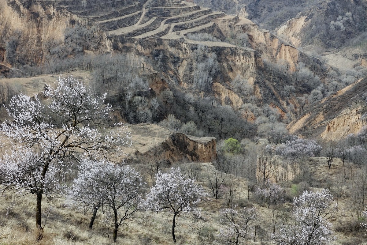 我只是把出去看到的随手记录下来（143）