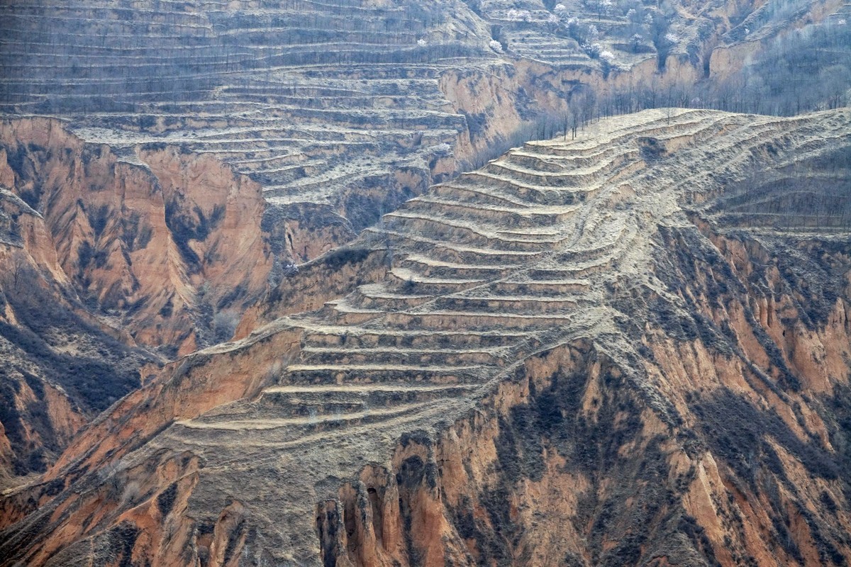 我只是把出去看到的随手记录下来（143）