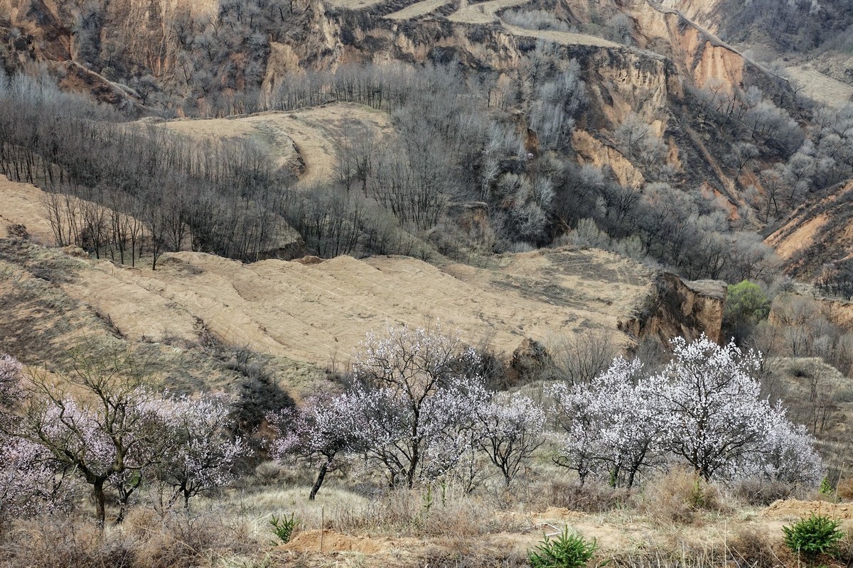 我只是把出去看到的随手记录下来（143）