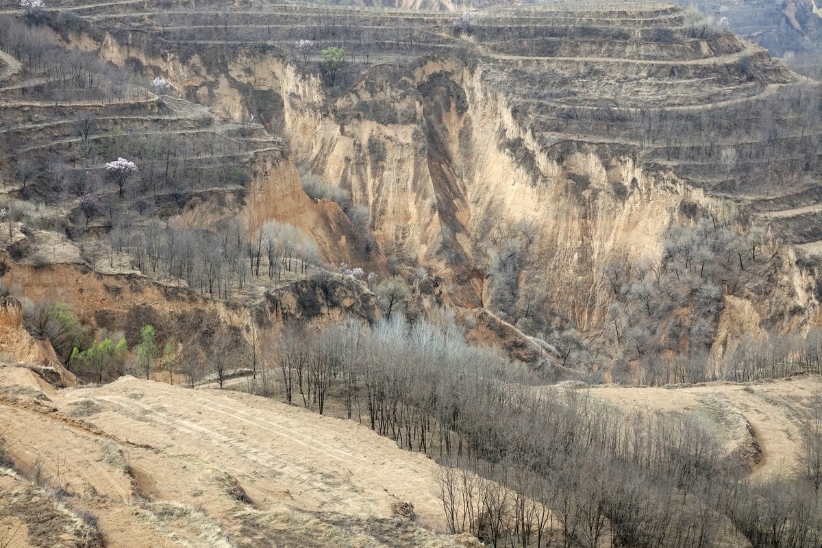 我只是把出去看到的随手记录下来（143）