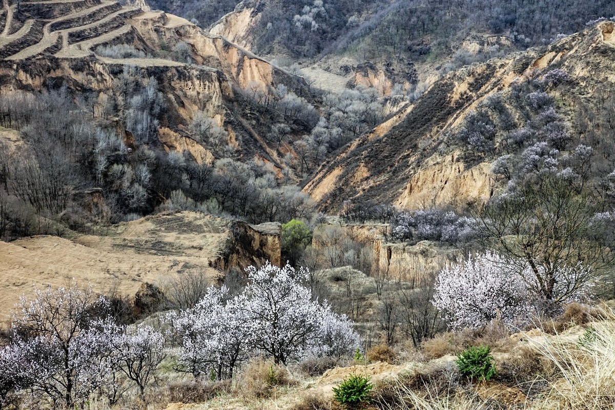 我只是把出去看到的随手记录下来（143）