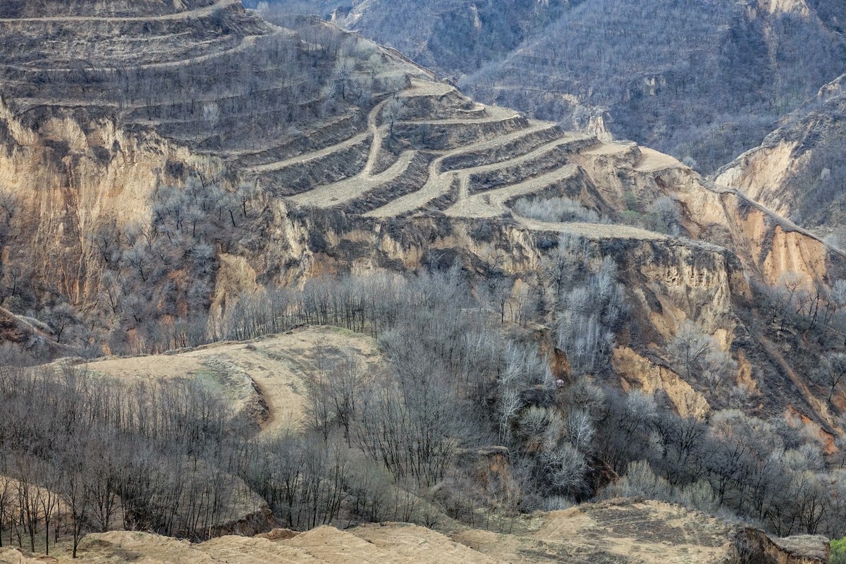 我只是把出去看到的随手记录下来（143）