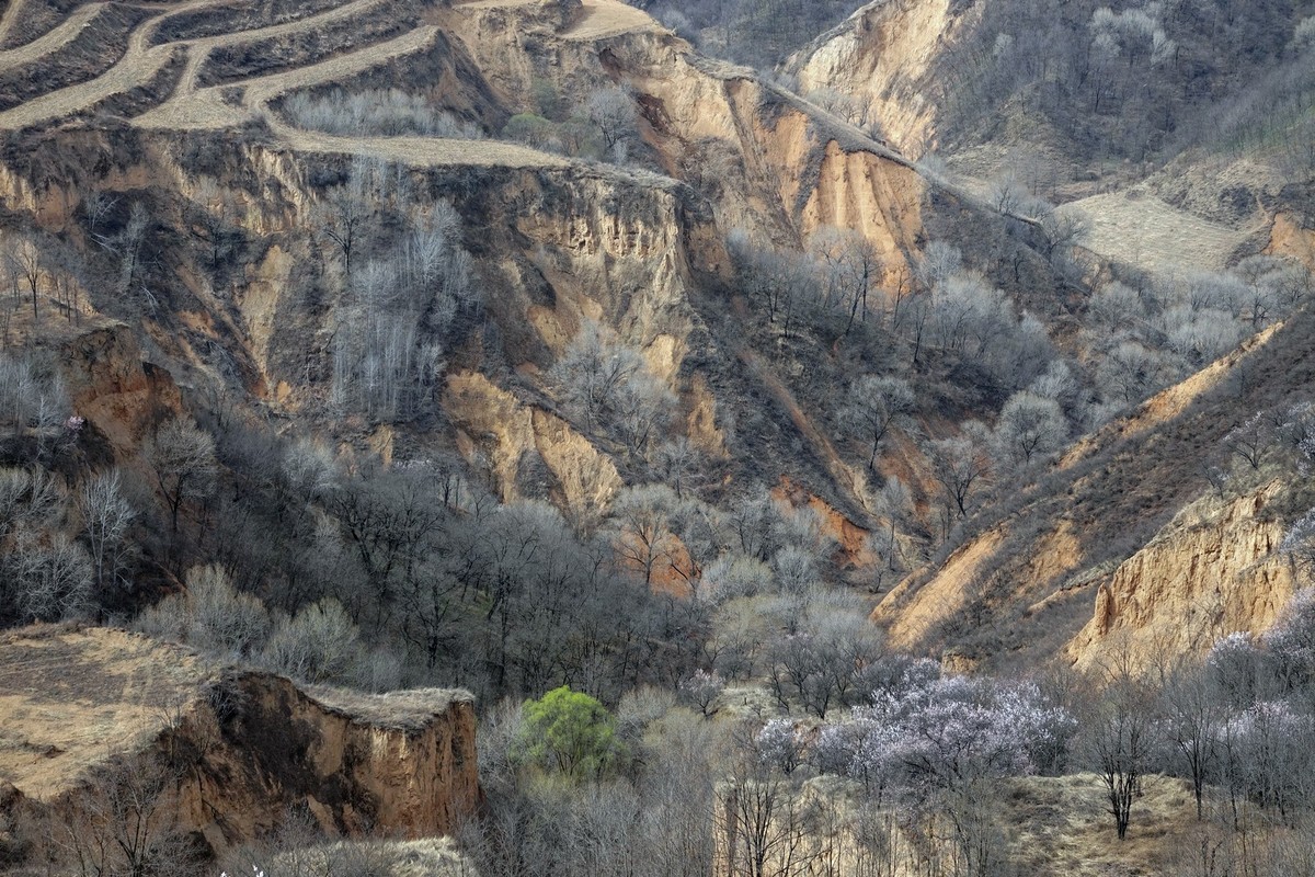 我只是把出去看到的随手记录下来（143）